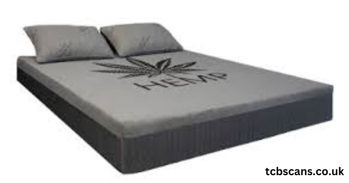 Cannabeds: Revolutionizing Cannabis Cultivation and Relaxation